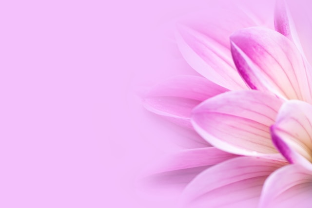 Yormandria közösség